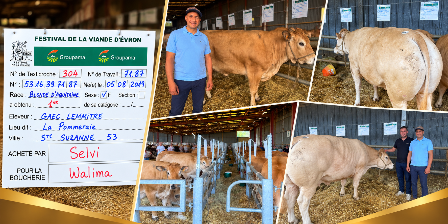 Une belle Blonde d’Aquitaine, bête de concours d’Évron, pour nos fidèles clients
